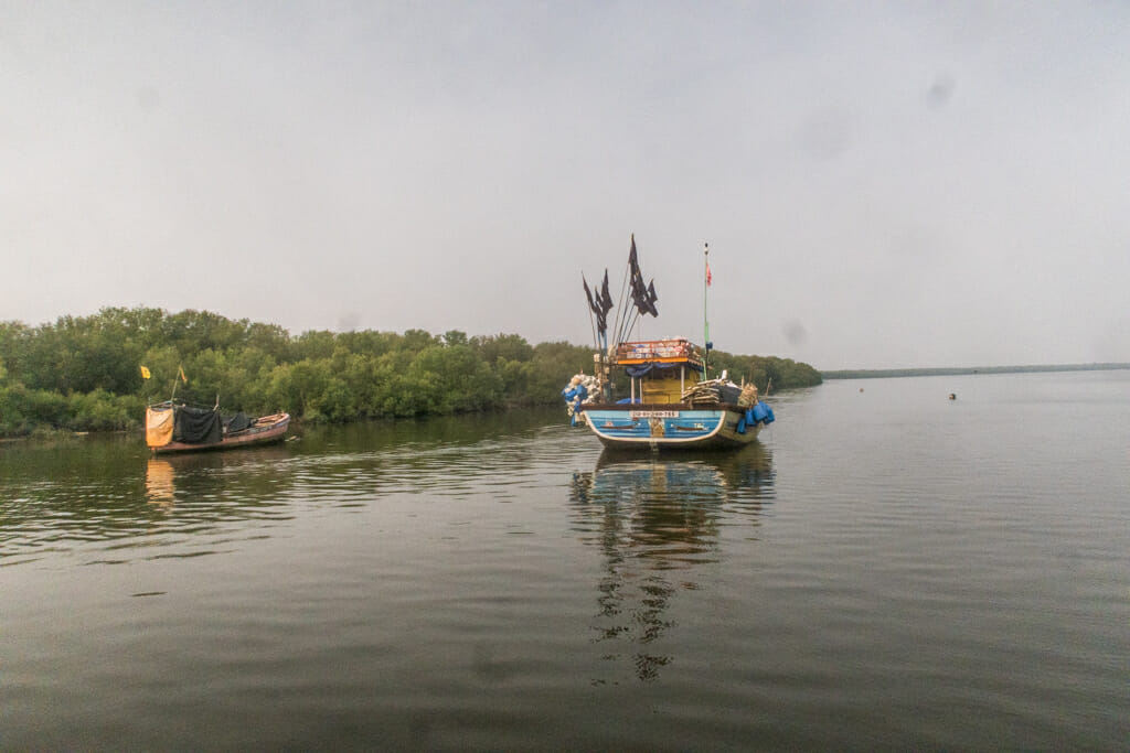 What the Mangrove Alliance at COP27 could mean for Mumbai’s mangroves ...