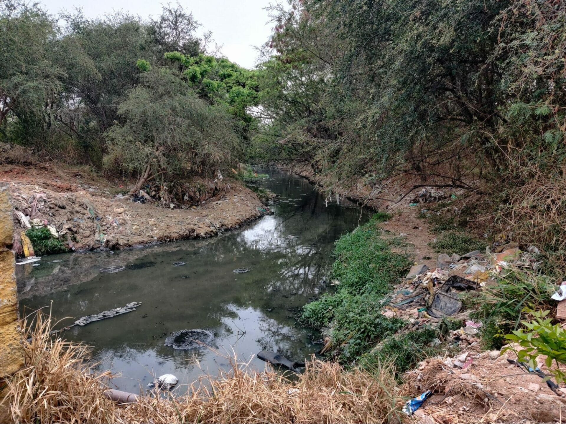 A historical lens on Bengaluru’s drains Citizen Matters
