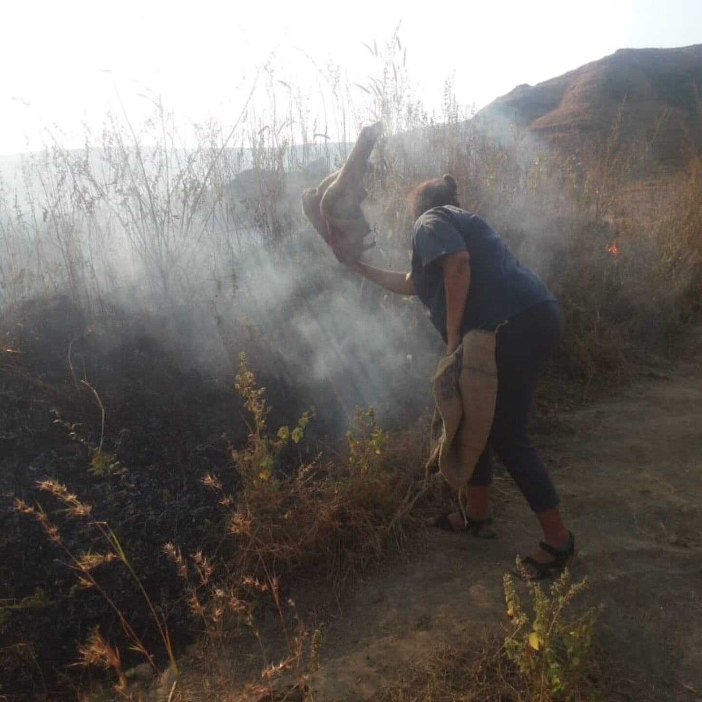 resident tries to douse forest fire 