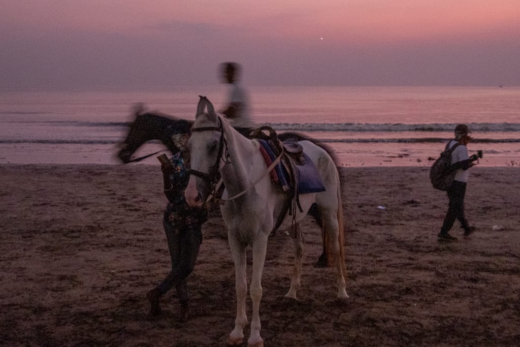 Horses at a beach in Mumbai
