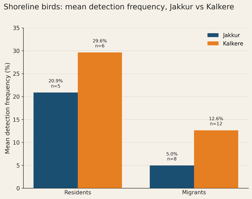 jakkur vs Kalkere shoreline birds